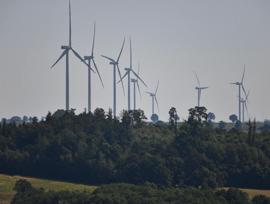 Prezes Tauronu: chcielibyśmy zapewniać 100 proc. czystej energii już w 2040 r.