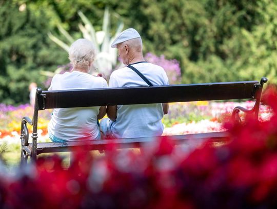 Prezes ZUS: w ciągu 30 lat średnia długość życia wydłużyła się o 7-8 lat