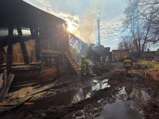 Prokuratura bada pożar w Tartomie. Ogień objął magazyn trocin przy Białobrzeskiej Prokuratura bada pożar w Tartomie. Ogień objął magazyn trocin przy Białobrzeskiej