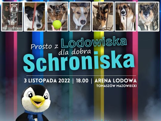 PROSTO Z LODOWISKA -  DLA DOBRA SCHRONISKA