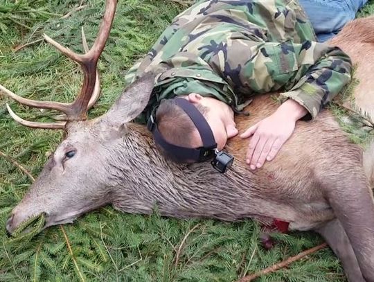 Protestowali przeciw zabijaniu zwierząt