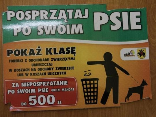 Przejaw zwyczajnej głupoty