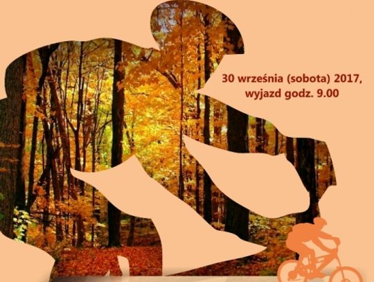 Przejechać się brzegiem Pilicy