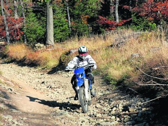 Przyjemność bezrefleksyjna