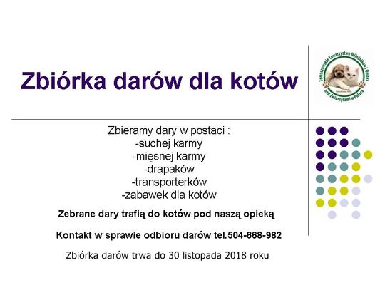 Przyłącz się do zbiórki karmy dla kotów