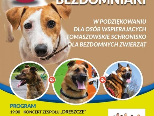 „Psiaki bezdomniaki”. Festyn na pl. Kościuszki