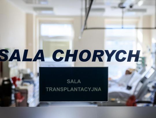 Rekordowa liczba przeszczepów narządów w Polsce w 2023 r.