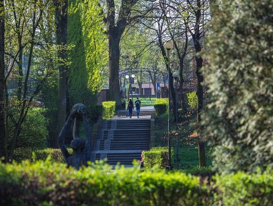 Rewitalizacja Parku „Solidarność”. Powstanie nowa muszla koncertowa