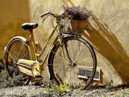 Rowerem do Normandii dla profilaktyki 