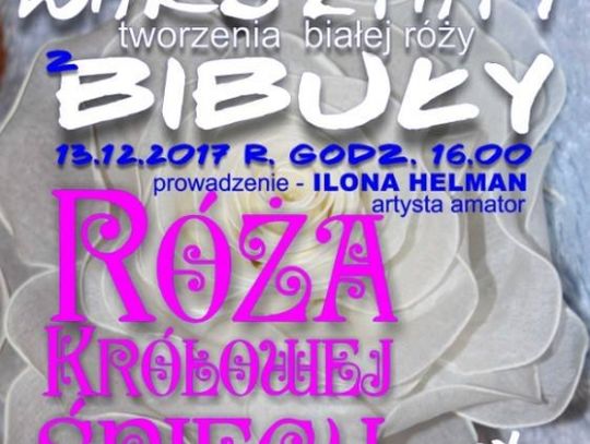 Róża Królowej Śniegu