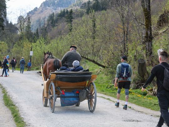 Siekierski: poleciłem służbom weterynaryjnym, by zbadały sytuację koni wożących turystów w Tatrach