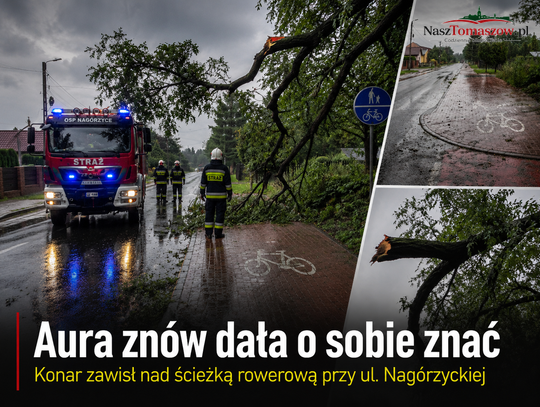 Silny wiatr nad Nagórzycami. Niebezpieczny konar zawisł nad ścieżką rowerową