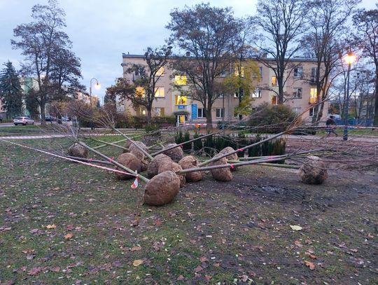 Skwer przy szpitalu w rewitalizacji. Będzie bardziej zielono