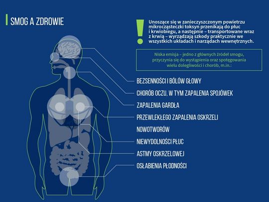 Smog a zdrowie. Co nas truje latem?