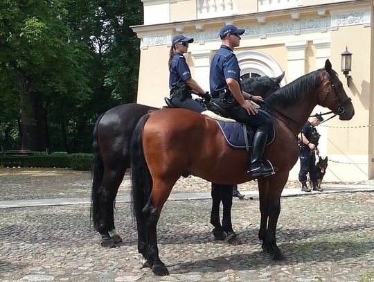 Spada forma, mnóstwo wakatów. Nie ma chętnych do pracy w Policji. 