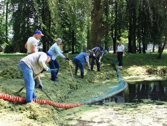 Staw w parku miejskim - dzisiaj pytanie, dzisiaj odpowiedź