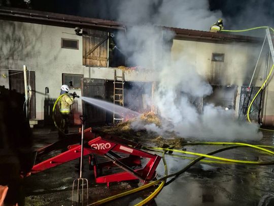Strażacy szybko opanowali ogień