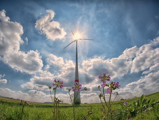 Studenci Politechniki Łódzkiej nagrodzeni za projekt turbiny wiatrowej