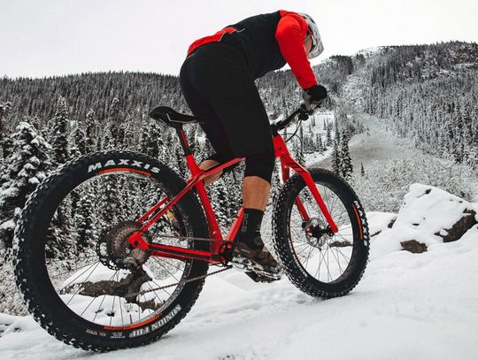 Sukces Doroty Warczyk