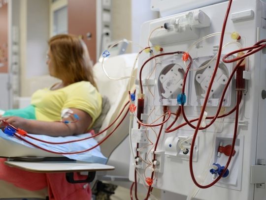 Światowy Dzień Nerek 2022 – 4 mln Polaków cierpią na przewlekłą chorobę nerek