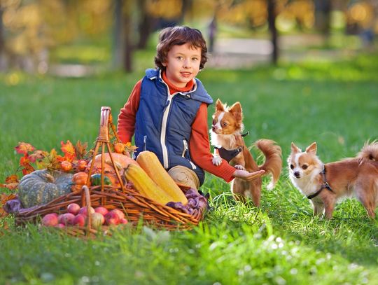 Światowy Dzień Zwierząt: święto, które uczy nas patrzeć inaczej Światowy Dzień Zwierząt: święto, które uczy nas patrzeć inaczej