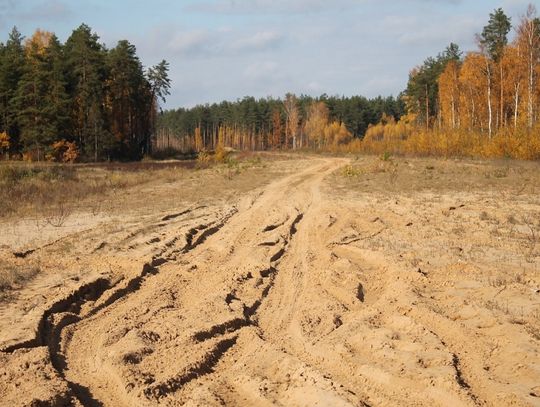 Szkoda czasu i pieniędzy? ZDW negatywnie o pomysłach Tomaszowa