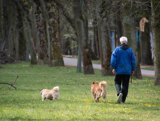 Szybszy chód to dłuższe życie