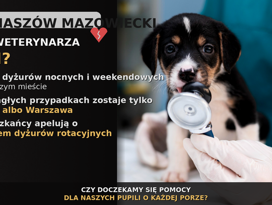 Tomaszów Mazowiecki bez weterynarza 24h? Mieszkańcy apelują o dyżury nocne i weekendowe Tomaszów Mazowiecki bez weterynarza 24h? Mieszkańcy apelują o dyżury nocne i weekendowe