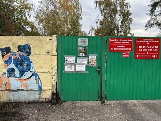 Tomaszów Mazowiecki przyjął program opieki nad zwierzętami na 2026 rok Tomaszów Mazowiecki przyjął program opieki nad zwierzętami na 2026 rok