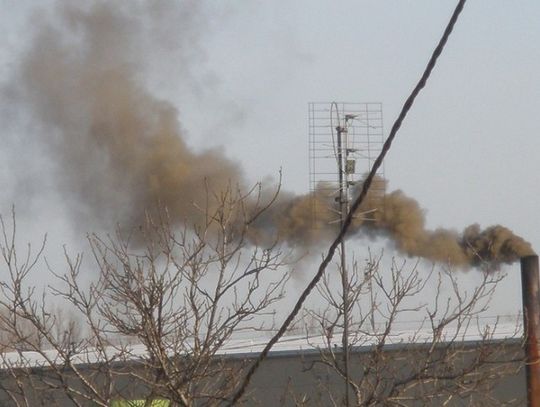 Tomaszów w europejskiej czołówce