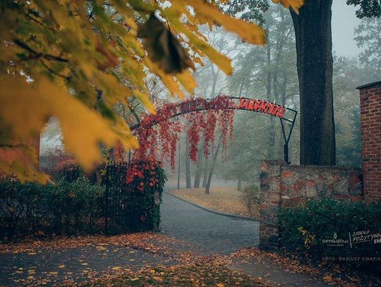 Tomaszów w II etapie konkursu - walczymy o środki na rewitalizacje Parku „Solidarność”