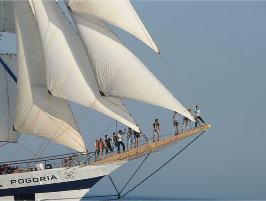 Tomaszowianie pod żaglami Pogorii 2015