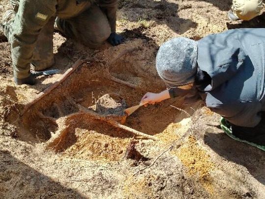 Tomaszowskim poszukiwaczom militariów się poszczęściło. Znaleźli skarb sprzed 2000 lat