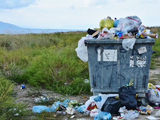 Tylko połowa Polaków dobrze segreguje śmieci. Brakuje odpowiednich oznaczeń na kontenerach i opakowaniach