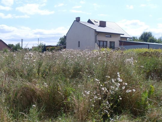 Ulica Chopina - zakurzona, zarośnięta i zaśmiecona