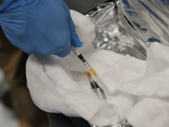 Prof. Bartnik: terapie RNA rozwijają się wyjątkowo szybko