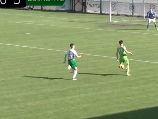 (VIDEO) Sokół zamknięty w piłkarskiej klatce Lechii