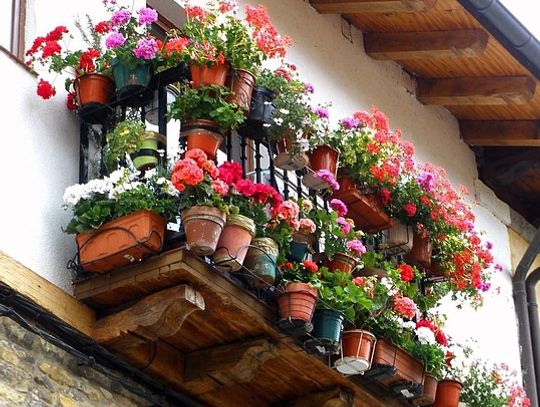 W jaki sposób odświeżyć mieszkanie na wiosnę?