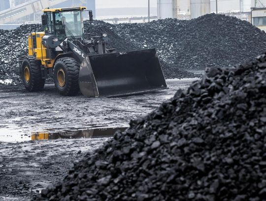 W sobotę Polska wyczerpie roczną pulę odnawialnych zasobów naturalnych