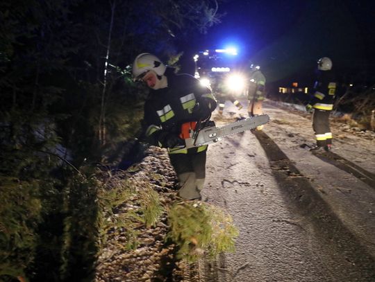 Wiał silny wiatr. 12 interwencji strażackich