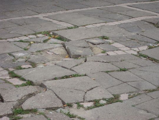 Wiosną zapachniało