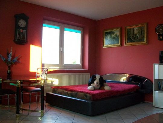 Własne cztery kąty. Marzenie, czy rzeczywistość?