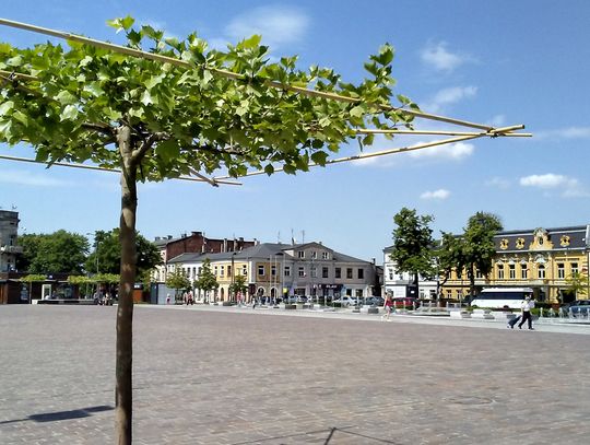 Wszystkiemu winna pandemia. Betonoza w rozkwicie 