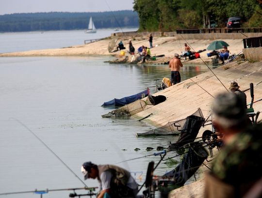 Wygrana Michała Nolbrzaka