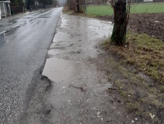 Wysiadają w błocie 