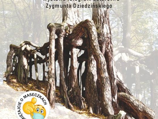 Wystawa fotografii Zygmunta Dziedzińskiego