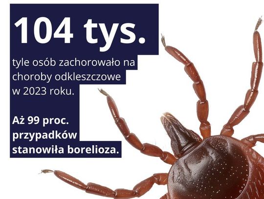 Wzmaga się aktywność kleszczy