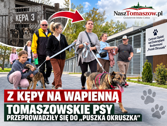 Z Kępy na Wapienną. Tomaszowskie psy przeprowadziły się do „Puszka Okruszka”