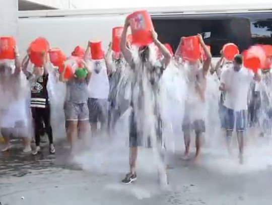 Z krainy cieni: głupek z wiadrem na głowie