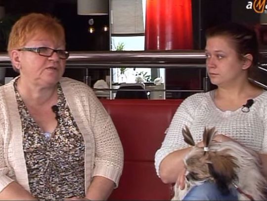 Zabierają psy i... już